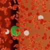 CelLBxHealth