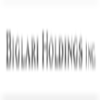 Biglari Holdings Inc.