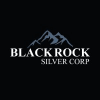 Blackrock Silver Corp.