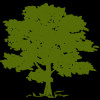 Community Health Systems, Inc.