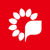 The Chiba Bank