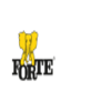 Fabryki Mebli FORTE S.A.