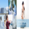 Fuji Pharma Co., Ltd.