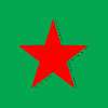 Heineken Holding
