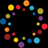 Professional Diversity Network