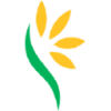 Lynch Group Holdings Limited