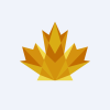 Maple Gold Mines