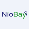 Niobay Metals