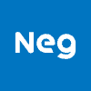 Nippon Electric Glass