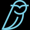 Blue Owl Capital