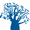 Panoramic Resources Limited