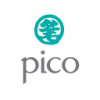 Pico Far East