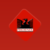 Phoenix International Limited
