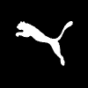 PUMA SE