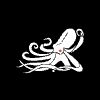 Kraken Robotics Inc.
