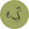 Scandi Standard AB (publ)