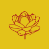Shree Digvijay Cement Company Limited