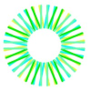 Sunrise Energy Metals Limited