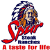 Spur Corporation Ltd