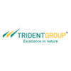 Trident Limited