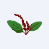 Tulasee Bio-Ethanol Limited