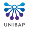 Unibap Space Solutions AB (publ)