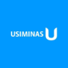 USIMINAS    PNA     N1